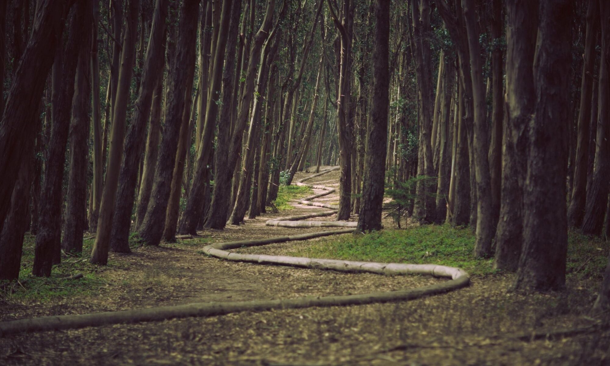 Democratizing Government IT